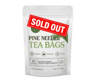 pine needle tea bags
